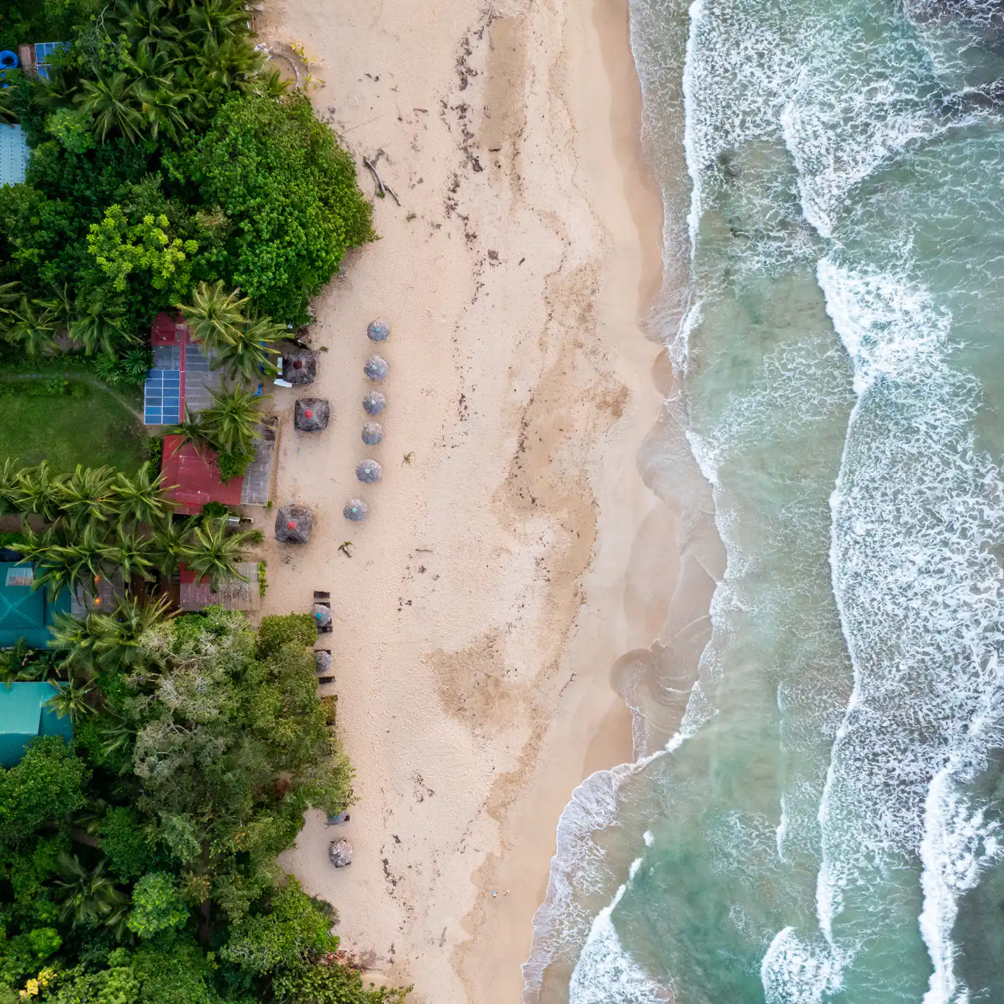 Bocas del toro flytrip